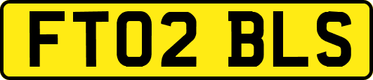 FT02BLS