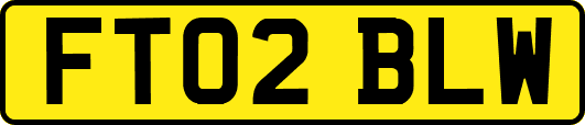 FT02BLW