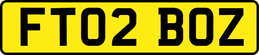 FT02BOZ