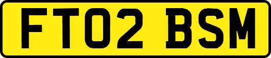 FT02BSM