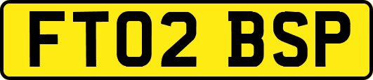 FT02BSP