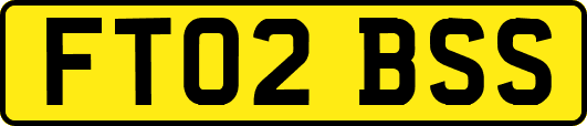 FT02BSS