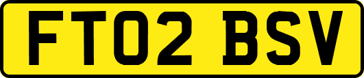 FT02BSV