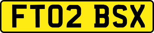 FT02BSX