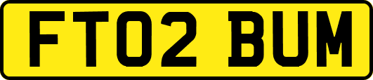FT02BUM