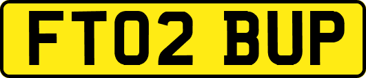FT02BUP
