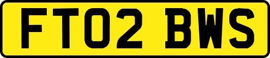 FT02BWS