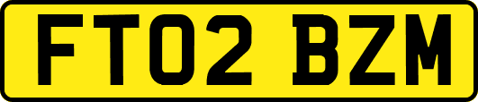 FT02BZM