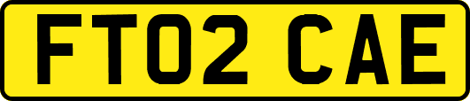 FT02CAE