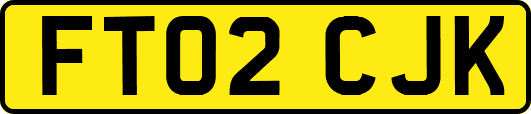 FT02CJK