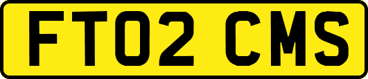 FT02CMS