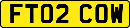 FT02COW