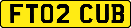 FT02CUB