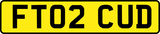 FT02CUD
