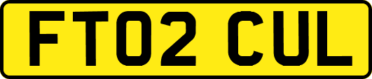 FT02CUL