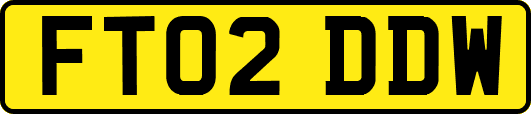 FT02DDW