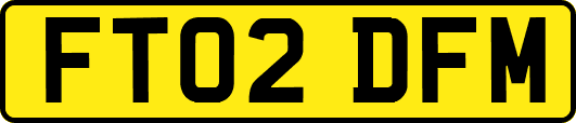 FT02DFM
