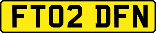 FT02DFN
