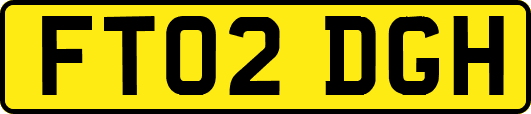 FT02DGH