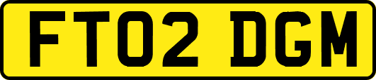 FT02DGM