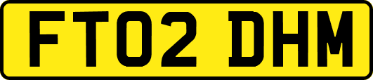 FT02DHM