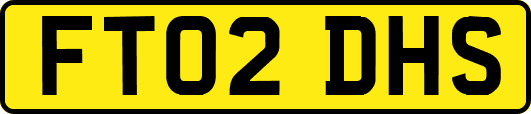 FT02DHS