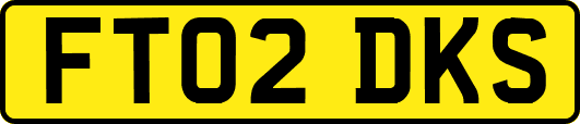 FT02DKS