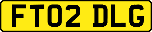 FT02DLG