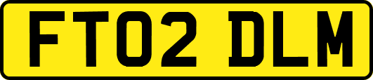 FT02DLM