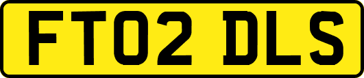 FT02DLS