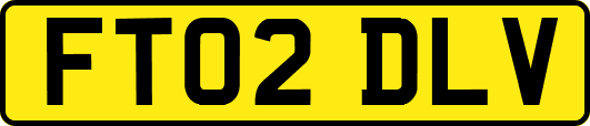 FT02DLV