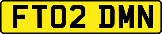 FT02DMN
