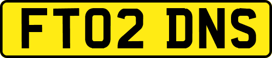 FT02DNS