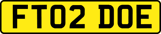 FT02DOE