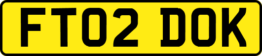 FT02DOK