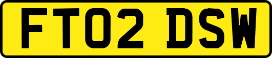 FT02DSW
