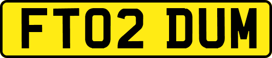FT02DUM