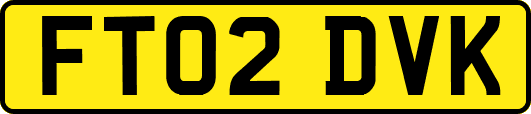 FT02DVK
