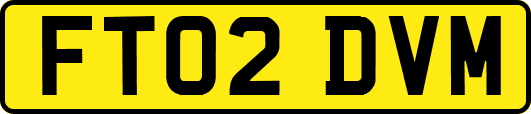 FT02DVM