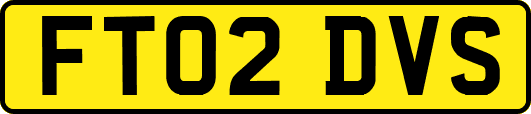 FT02DVS