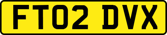 FT02DVX