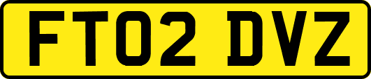 FT02DVZ