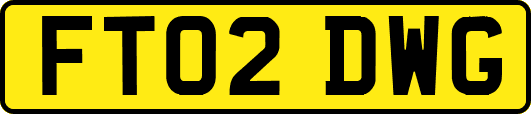 FT02DWG