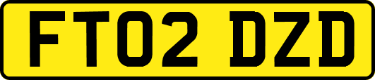 FT02DZD