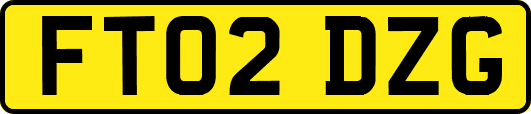 FT02DZG
