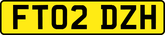 FT02DZH