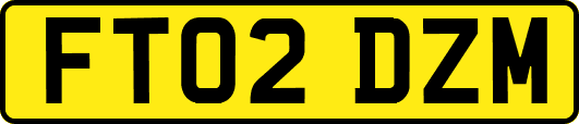 FT02DZM