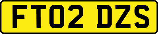 FT02DZS