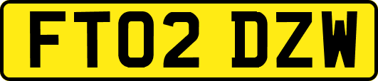 FT02DZW