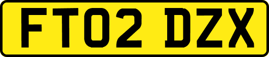 FT02DZX